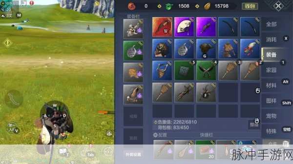妄想山海手游玉兔技能伤害全解析