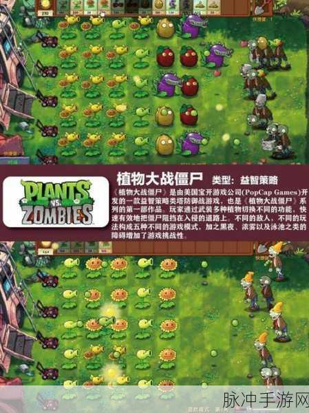 QQ王者下载，探索多元素塔防手游的无限魅力