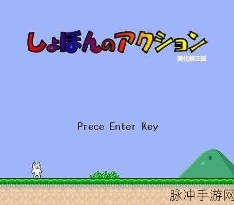 超级猫里奥，混乱冒险的极致体验——正版攻略详解