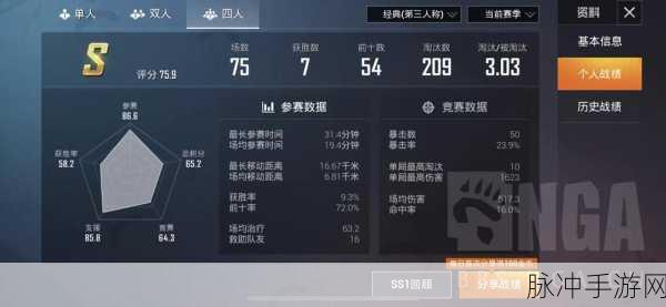 和平精英战绩隐藏秘籍，全方位详细指南