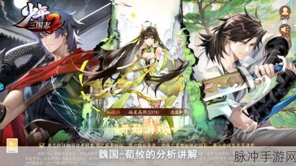 少年三国志焰金武将精准抉择指南