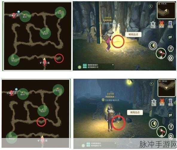 小森生活稀有虫点位置全揭秘