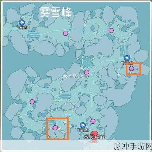 小森生活稀有虫点位置全揭秘
