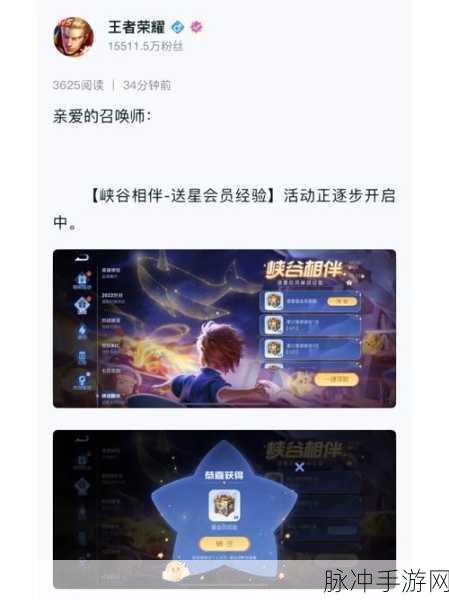 王者荣耀王者星会员开通与升级秘籍大公开