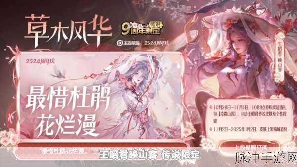 王者荣耀王昭君七夕皮肤价格全解析