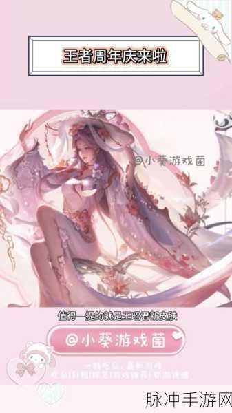 王者荣耀王昭君七夕皮肤价格全解析