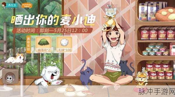小森生活麦小迪领取秘籍大公开