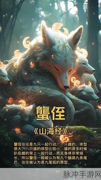 山海经异兽录单机版，离线养成，探索奇幻世界的奇妙之旅