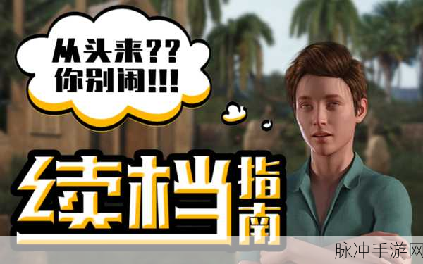 偷星之王，解锁益智闯关新乐趣的游戏下载指南