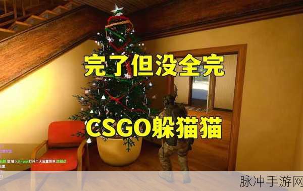 盖瑞模组躲猫猫CSGO版，探索玩法丰富独特的模拟闯关世界