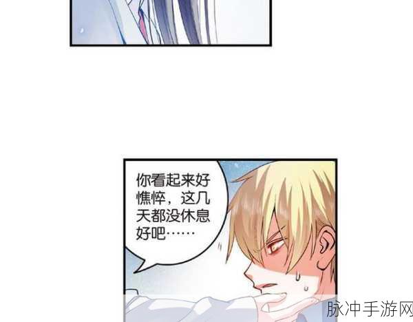 战国花美男，乱世中的浪漫邂逅——汉化版下载全攻略