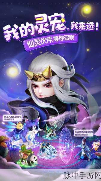 宠物王国外传vivo版深度攻略，探索回合制策略战斗的魅力