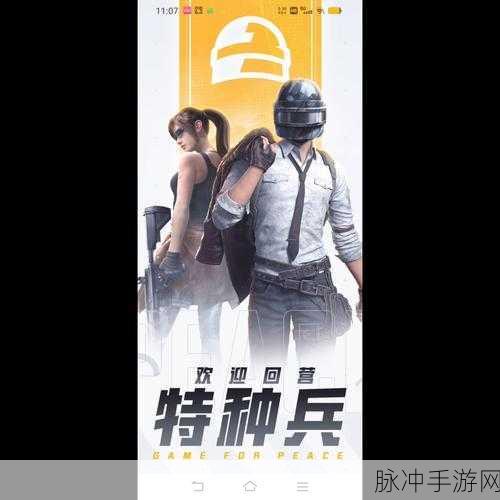 和平精英体验服，进入的详细指南与技巧