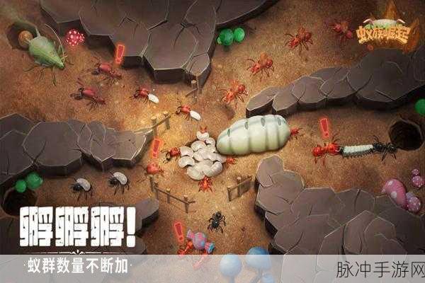 蚁族崛起九游版下载，Q萌画风下的策略塔防新体验