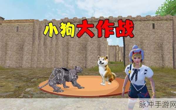 和平精英，机械犬获取秘籍大公开