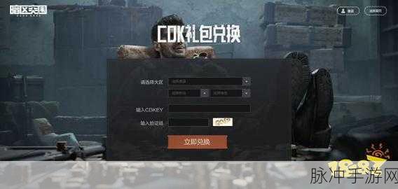 暗区突围，2024 永久有效兑换码全揭秘及深度攻略