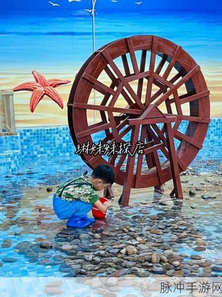 赶海大王，卡通风格赶海模拟游戏的极致体验