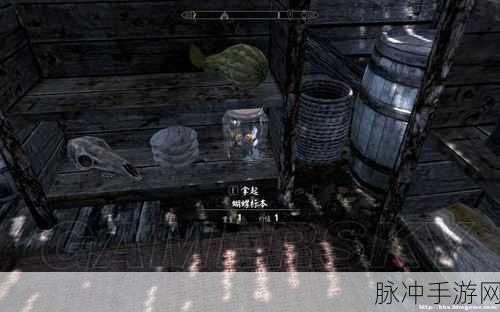 上古卷轴 5，天际 昆虫标本彩蛋探秘指南