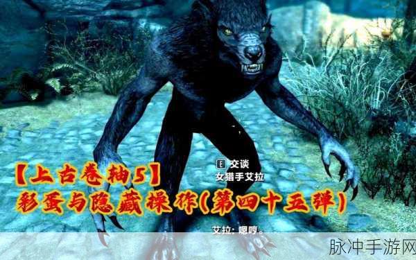 上古卷轴 5，天际 昆虫标本彩蛋探秘指南