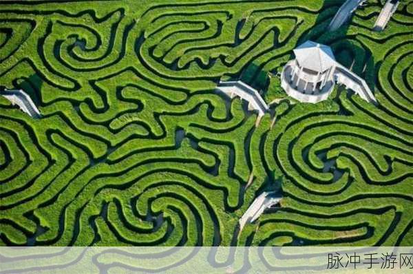 爱丽丝与树篱迷宫，简约可爱，迷宫探险新体验