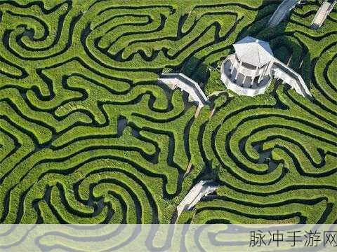 爱丽丝与树篱迷宫，简约可爱，迷宫探险新体验
