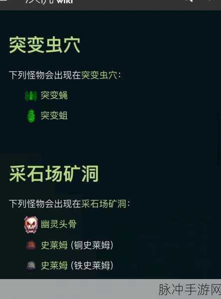 星露谷物语，怪物占领区域高效刷法全解析