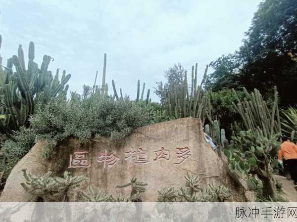 口袋植物园，清新卡通下的休闲放置新体验