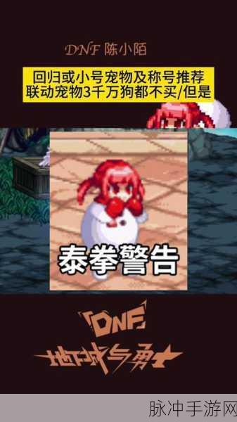 DNF 漫游宠物抉择，颜值实力兼得秘籍