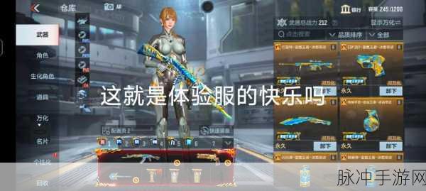 穿越火线体验服手游，探索精致第一人称射击新境界