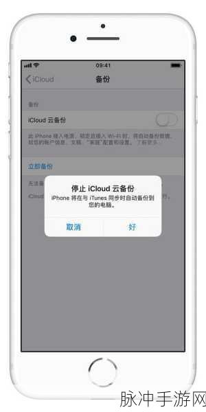 手游秘籍，解决 iPhone 连接 iCloud 出错难题