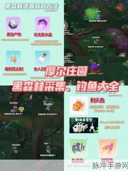 摩尔庄园手游鱼类全解析，三文鱼之后的神秘鱼种与图鉴探秘