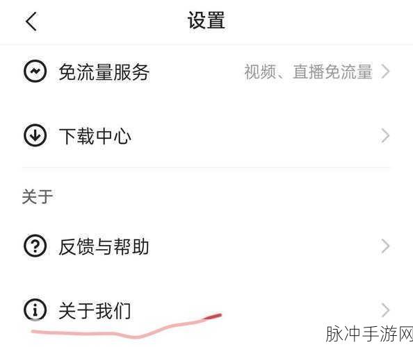 快手极速版升级看广告秘籍大公开