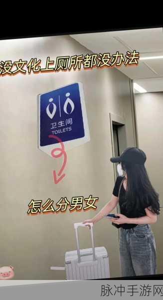 抖音爆款来袭！男左女右分厕所手游下载全攻略