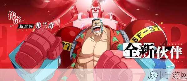 航海王热血航线，新世界弗兰奇技能全解析