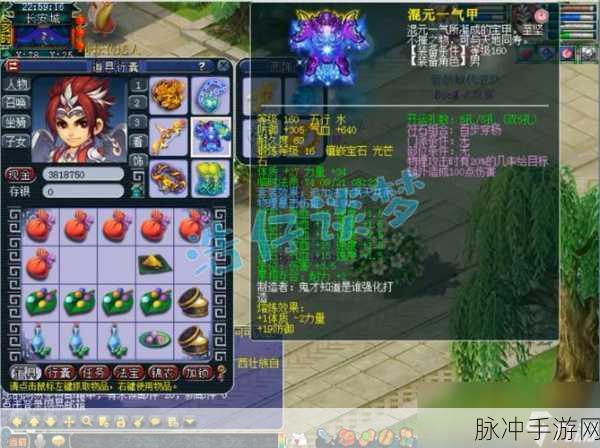 梦幻西游 2025 花果山法宝搭配深度洞察指南