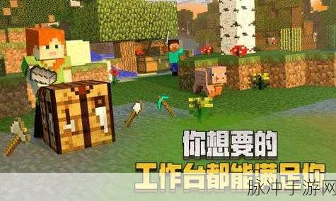 重温经典，探索无限可能，我的世界1.2.1.1版本下载全攻略