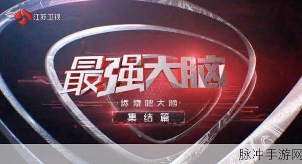最强大脑风暴手游，简洁画面下的记忆力挑战之旅