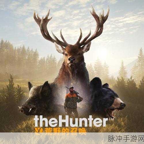 穿越福城手游下载，探索书吧趣味休闲闯关的奇妙之旅