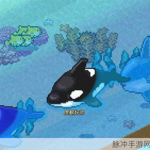 开罗网球俱乐部物语，打造无限点数的像素经营传奇