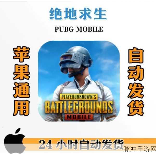 PUBG Mobile台服手游下载，探索极致好玩的吃鸡游戏世界