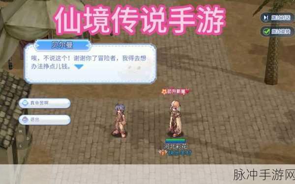 仙境传说手游，四级宠物蛋的神秘面纱与获取之道