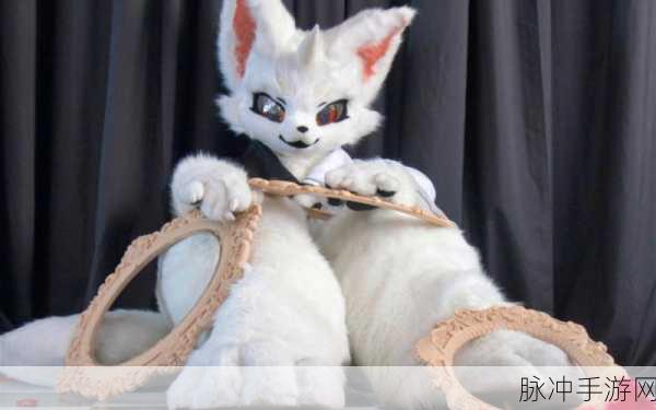 猫巫波兰球桌宠中国版，打造专属壁纸桌宠互动新体验