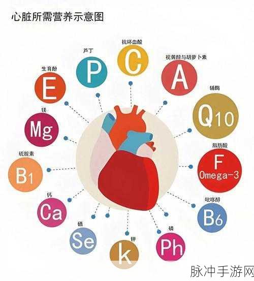 莫托的心脏，卡通清新趣味闯关之旅全面解析