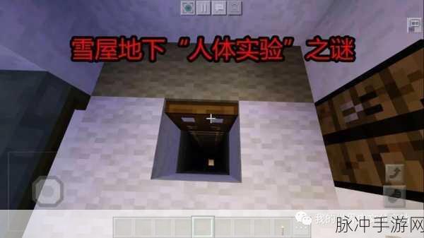 我的世界手机版灵异谜团大揭秘