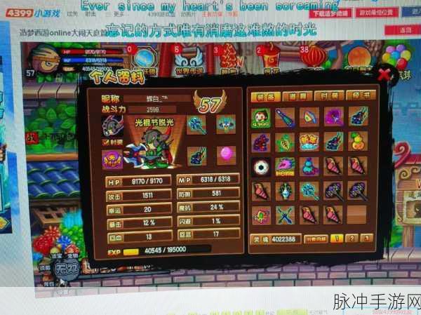 造梦西游 3 极品虎丸 544 抓取秘籍大公开