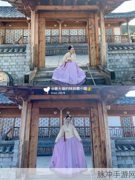 探索龙之乡，Dragon Village韩服下载全攻略