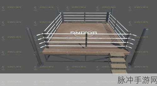 拳击手3D下载，格斗类游戏的巅峰之作攻略详解