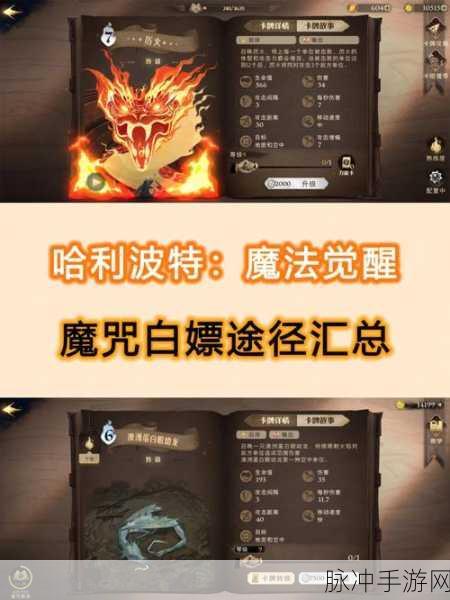 哈利波特魔法觉醒神秘信号密码全攻略