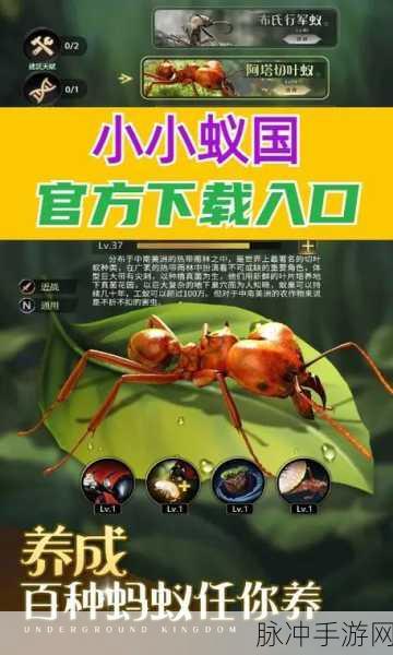 科学蚂蚁中文版下载，探索欧美卡通风格的休闲手游新世界