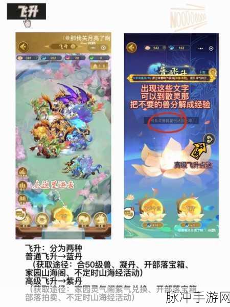 魔域新手秘籍，战力飞升的必备指南